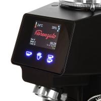 Кофемолка Fiorenzato F83E, цвет черный