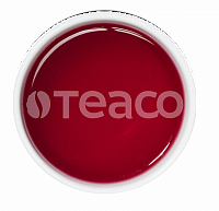 Чай TEACO Клюква с мятой 20 г Х 16 шт.