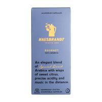 Кофе в капсулах Hausbrandt Nespresso Gourmet 100% Arabica, 10 коробочек (100 шт)